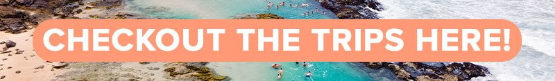 CHECKOUTTHETRIPS_Button.max-800x600