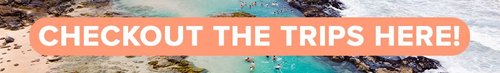CHECKOUTTHETRIPS_Button.max-800x600.original