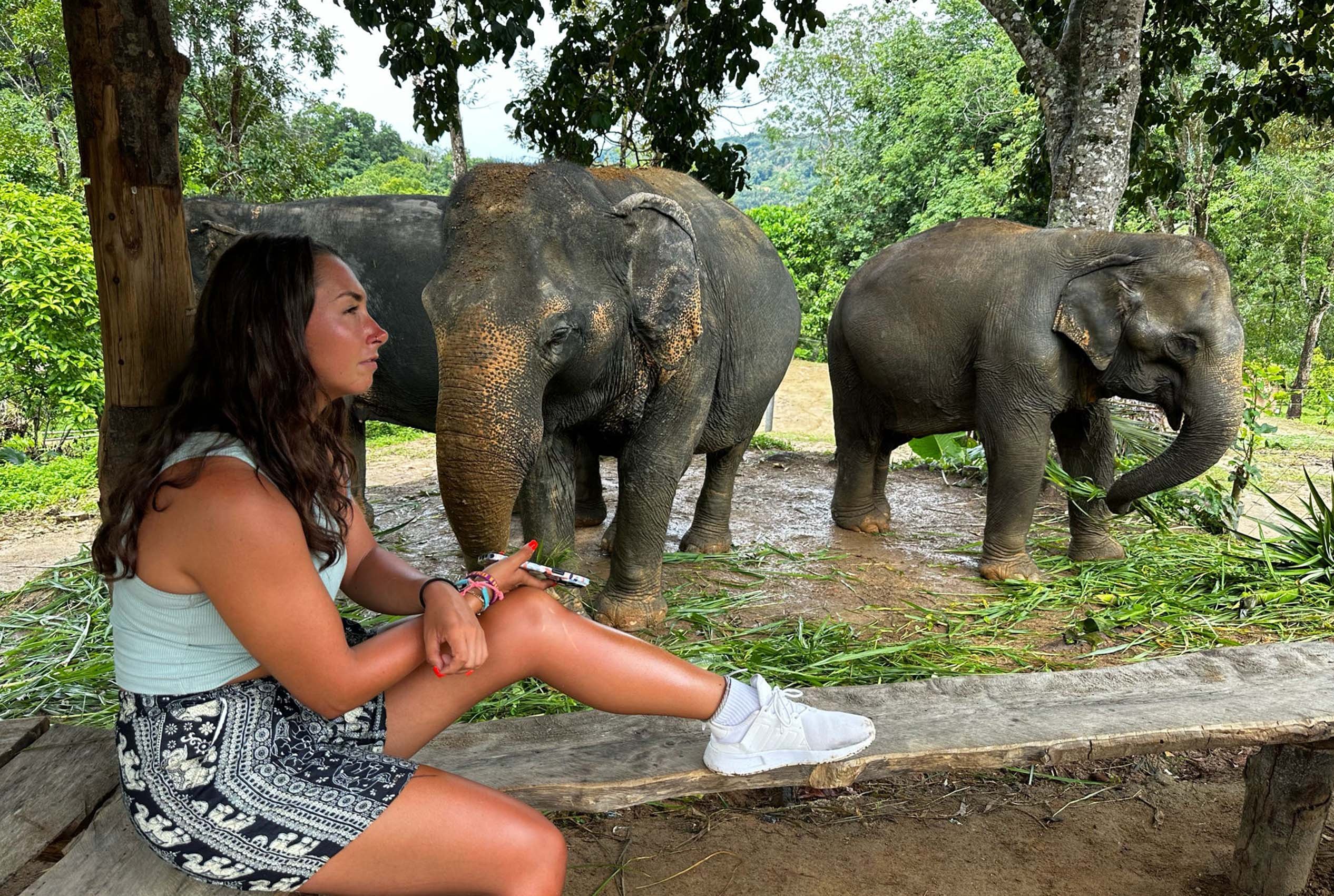 Elephants_thailand