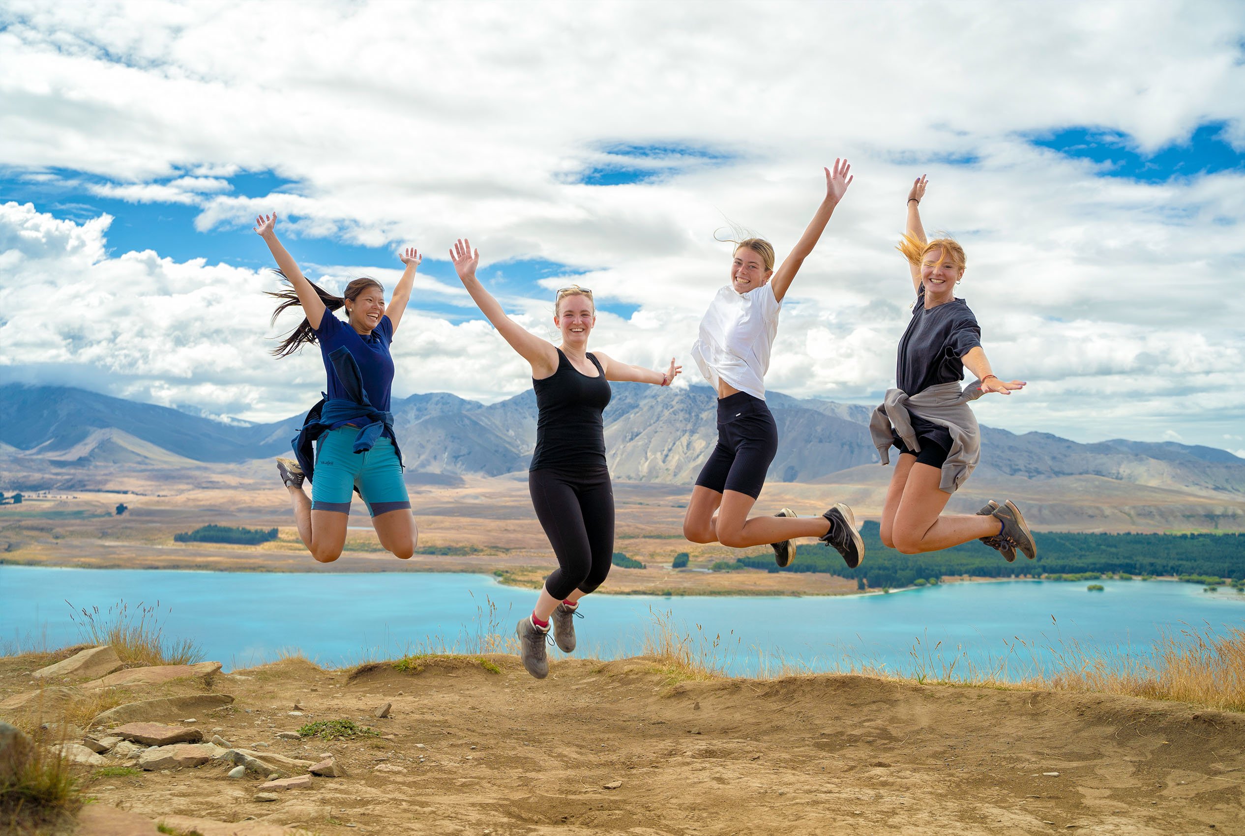 NZ_group